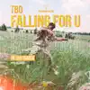 Falling for You (feat. Jay Teazer) - Single album lyrics, reviews, download