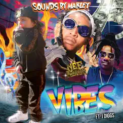 Vibes (feat. J Diggs) - Single by Nef The Pharaoh album reviews, ratings, credits