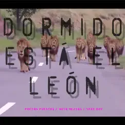 Dormido Está el León - Single by Poetas Puestos, Nova Mejias & Yeke Boy album reviews, ratings, credits