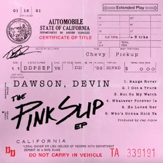 The Pink Slip - EP by Devin Dawson album download