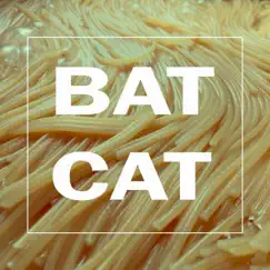美の説明 - Single by Bat Cat album reviews, ratings, credits