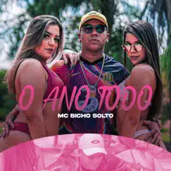 O Ano Todo - Single by MC Bicho Solto album reviews, ratings, credits