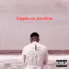 Trippin on Paradise album lyrics, reviews, download