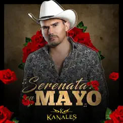 Serenata en Mayo Song Lyrics