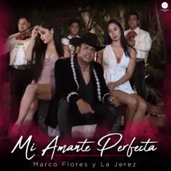 Mi Amante Perfecta - Single by Marco Flores Y La Jerez album reviews, ratings, credits