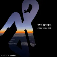 Feel the Love - Single by Tye Brees album reviews, ratings, credits