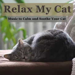 Relax My Cat: Music to Calm and Soothe Your Cat by RelaxMyCat, Relax My Kitten & Cat Music Dreams album reviews, ratings, credits