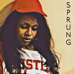 Sprung - Single by Ashley K. album reviews, ratings, credits