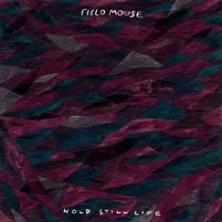 Hold Still Life by Field Mouse album reviews, ratings, credits