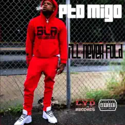 I'll Never Fold by Ptdmigo album reviews, ratings, credits