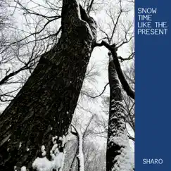 Snow Time Like the Present - Single by Sharo album reviews, ratings, credits