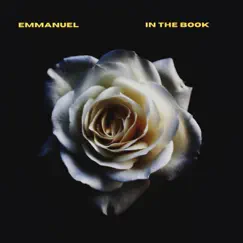 Like With - Single by Emmanuel L.L.T. album reviews, ratings, credits