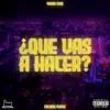 ¿Qué vas a hacer? - Single album lyrics, reviews, download