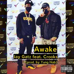 Awake - Single (feat. Crooks) - Single by Jay Gatz album reviews, ratings, credits