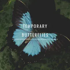 Temporary Butterflies Song Lyrics