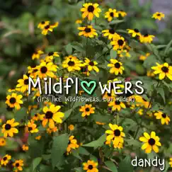 Wildflowers (Acoustic) Song Lyrics
