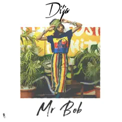 Mr Bob Song Lyrics