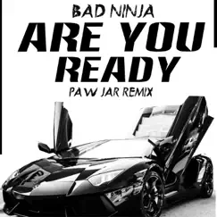 Are You Ready (PAW JAR Remix) - Single by BAD NINJA album reviews, ratings, credits
