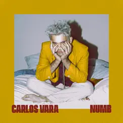 Numb - Single by Carlos Vara album reviews, ratings, credits