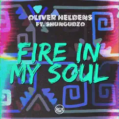 Fire in My Soul (feat. Shungudzo) - Single by Oliver Heldens album reviews, ratings, credits