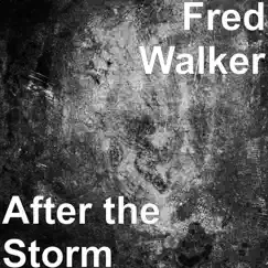 After the Storm - Single by Fred Walker album reviews, ratings, credits