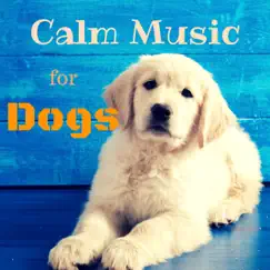 Calm Music for Dogs – Relaxing Nature Sounds to Soothe Anxious Pet, Music Therapy, Pet Relaxation by Music for Dog's Ears album reviews, ratings, credits