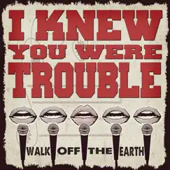 I Knew You Were Trouble (feat. KRNFX) Song Lyrics