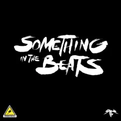 Something In the Beats - EP by Syer B album reviews, ratings, credits