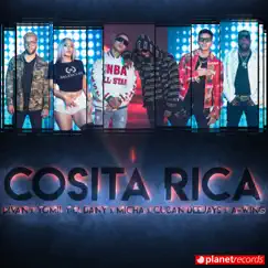 Cosita Rica Song Lyrics
