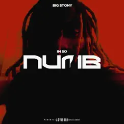 I'm So Numb - Single by Big Stony album reviews, ratings, credits