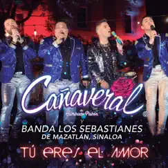 Tú Eres el Amor - Single by Grupo Cañaveral de Humberto Pabón & Banda Los Sebastianes album reviews, ratings, credits