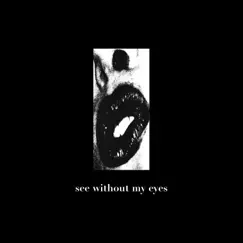 See Without My Eyes (feat. Kat Somers) - Single by Robert Lilly album reviews, ratings, credits