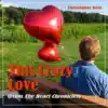 This Crazy Love - Single album lyrics, reviews, download