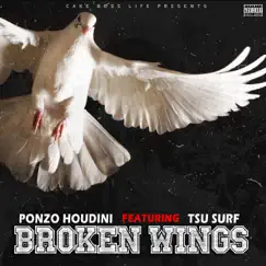 Broken Wings - Single (feat. Tsu Surf) - Single by Ponzo Houdini album reviews, ratings, credits