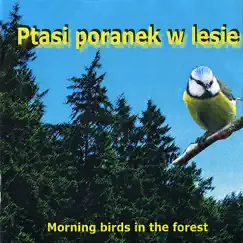 Morning Birds In the Forest by Singing Birds of Poland album reviews, ratings, credits