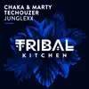 Junglexx (Radio Edit) - Single album lyrics, reviews, download