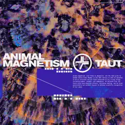 Animal Magnetism - Single by Taut album reviews, ratings, credits