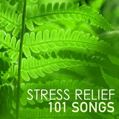 Stress Relief 101: Anxiety Help by Patsy Doyle album reviews, ratings, credits