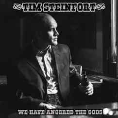 We Have Angered the Gods by Tim Steinfort album reviews, ratings, credits