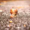 Speedy Gonzales Rides Again - Single album lyrics, reviews, download