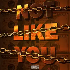 Not Like You - Single by Dripbvbe album reviews, ratings, credits