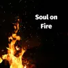 Soul On Fire album lyrics, reviews, download