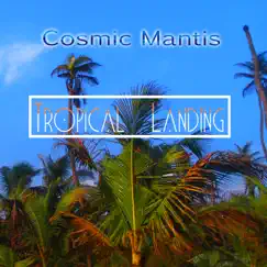 Tropical Landing - EP by Cosmic Mantis album reviews, ratings, credits