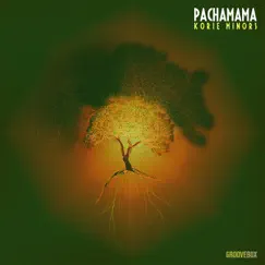 Pachamama - Single by Korie Minors album reviews, ratings, credits