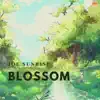 Blossom - Single album lyrics, reviews, download