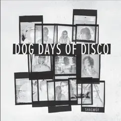 Dog Days of Disco Song Lyrics