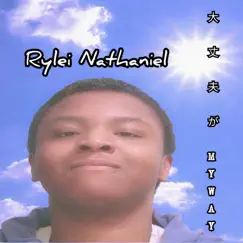 Daijoubu ga My Way (feat. Marth Daul) - Single by Rylei Nathaniel album reviews, ratings, credits