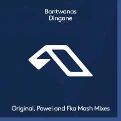 Dingane (Powel Remix) Song Lyrics