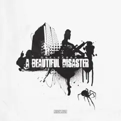 A Beautiful Disaster by DreLee863 album reviews, ratings, credits