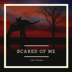 Scared of Me - Single by Liam Thomas album reviews, ratings, credits